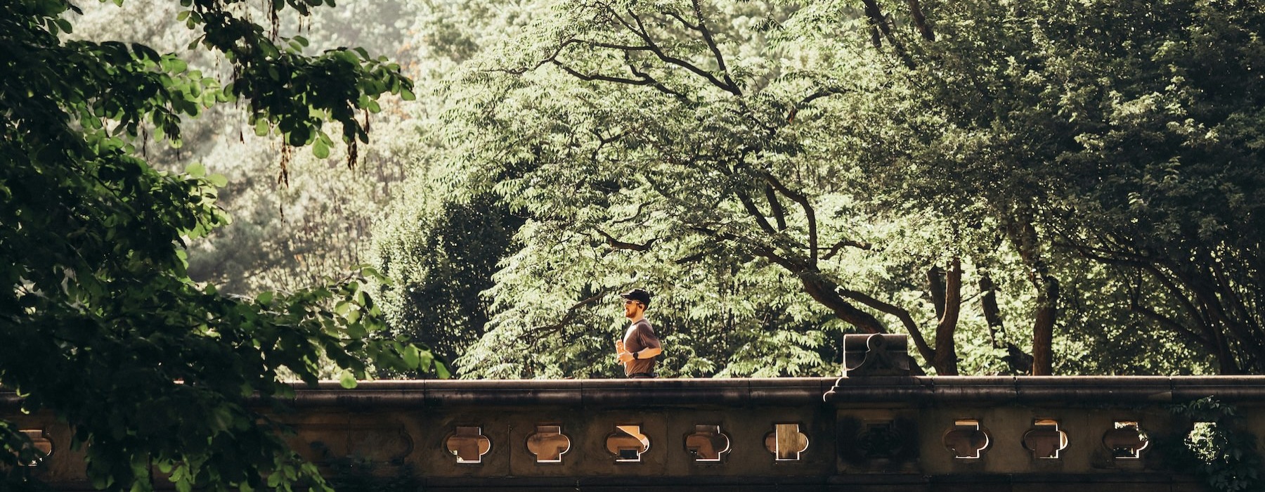 a person standing on a bridge